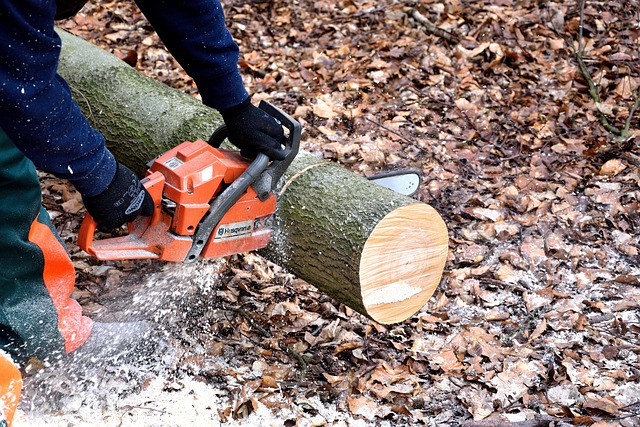 Why were chainsaws invented?